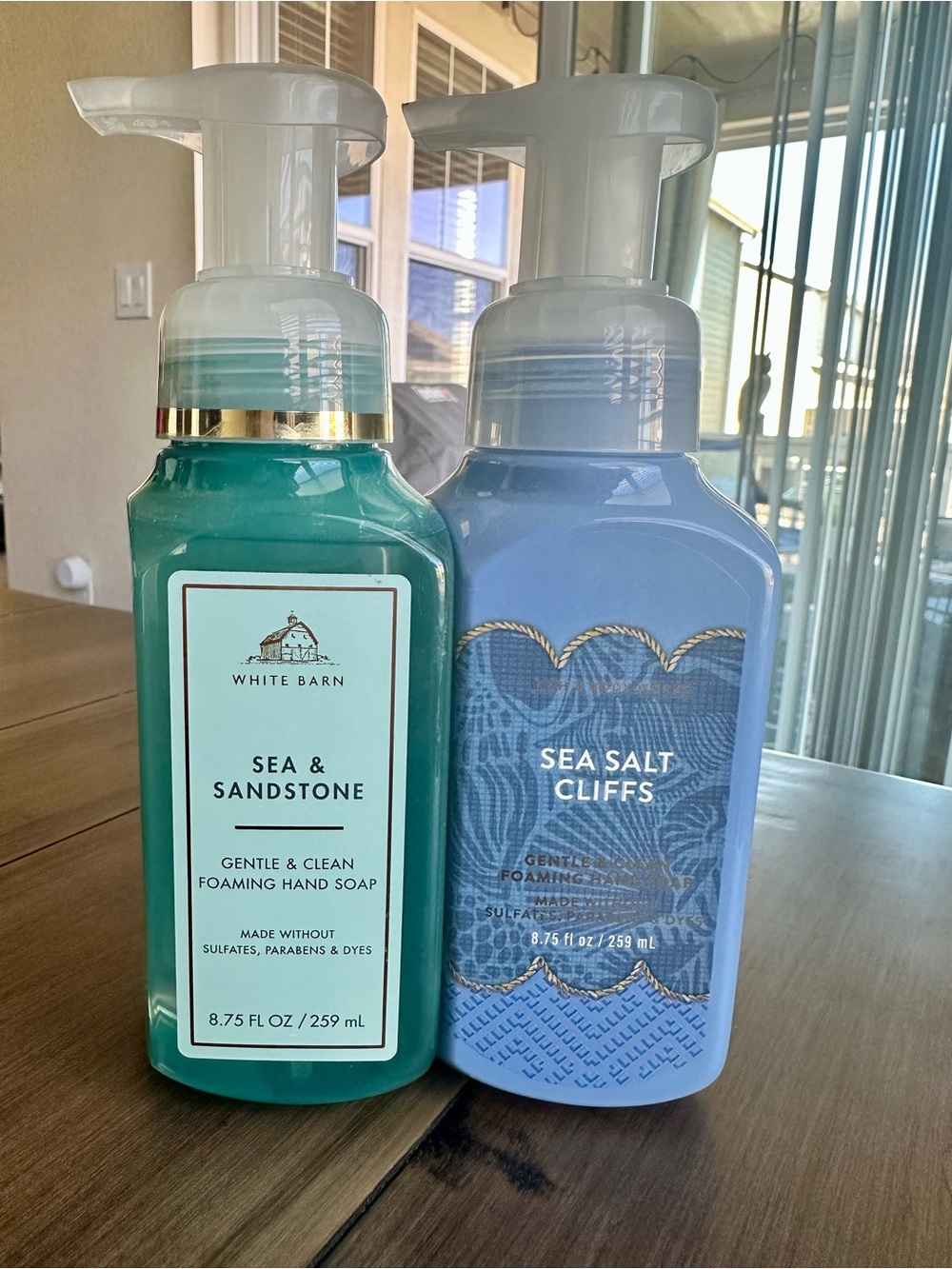 Bath & Body Works Foaming Hand Soap-Sea & Sandstone and Sea Salt Cliffs